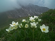 Giro ad anello MONTI VINDIOLO (2056 m.) e VETRO (2054 m.) salendo da ZORZONE-PIAN BRACCA (1122 m.) - FOTOGALLERY